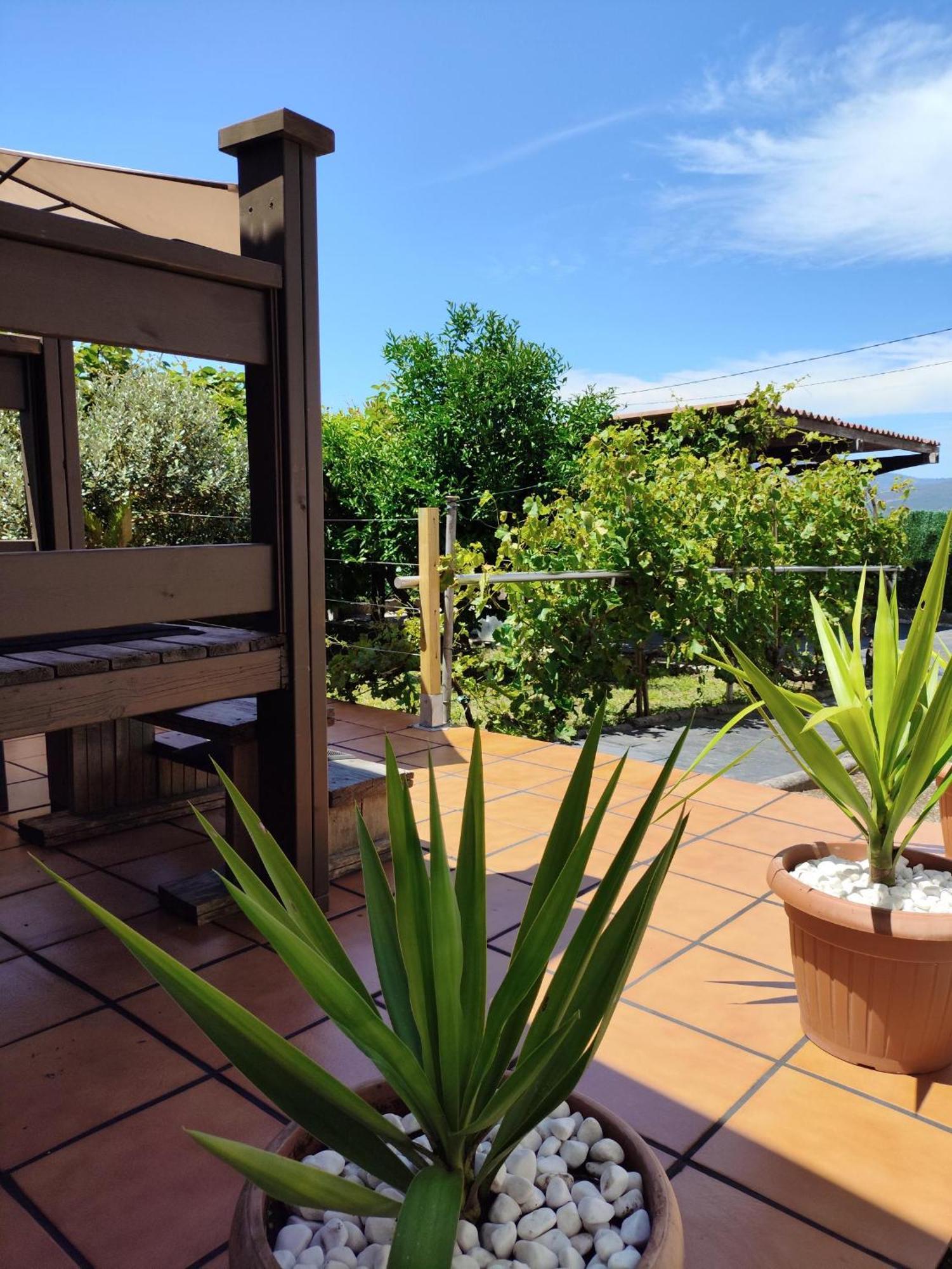 Lar De Pazos Villa Padron Ngoại thất bức ảnh